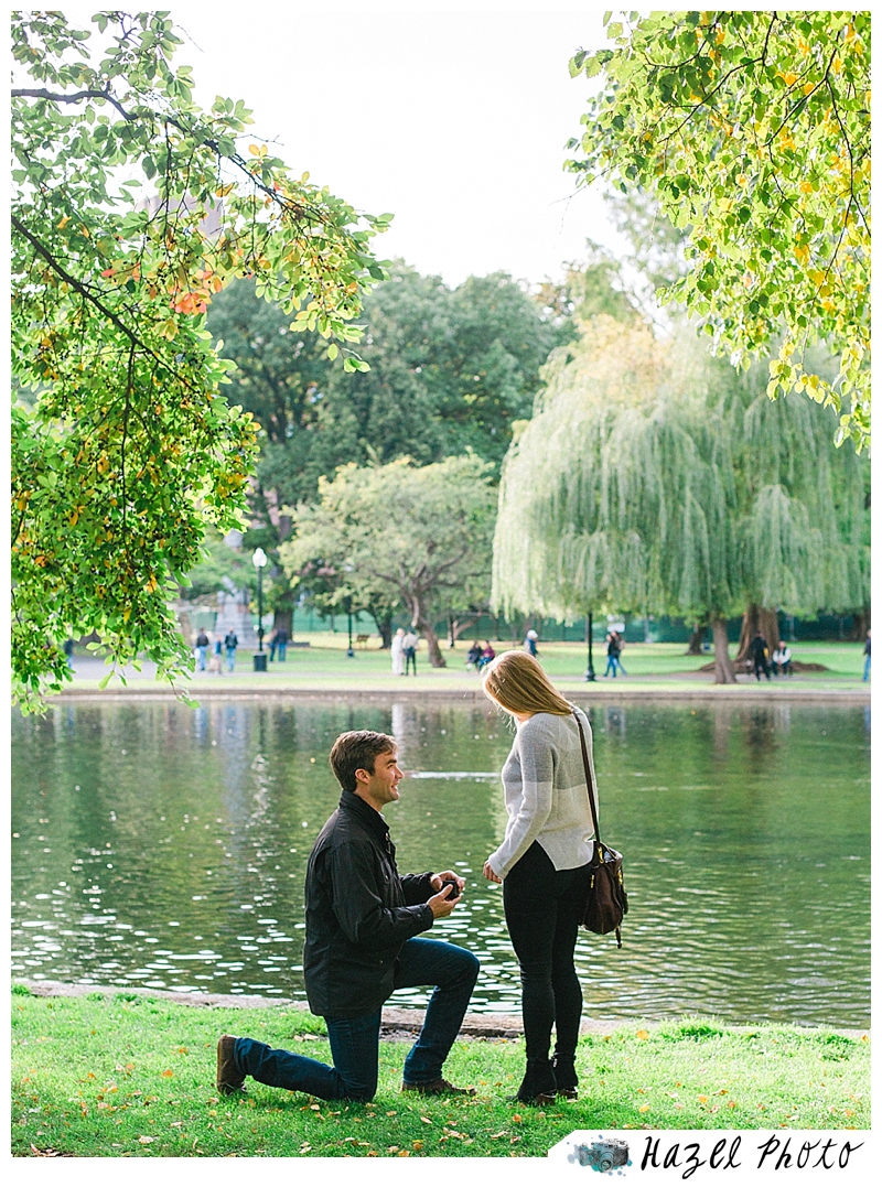 A Proposal at the Boston Public Gardens