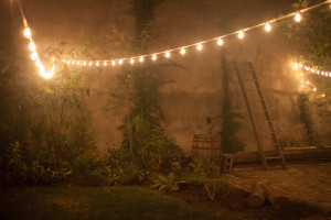 maas building backyard christmas lights night time