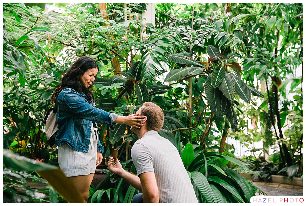 San Francisco Conservatory of Flowers Marriage Proposal
