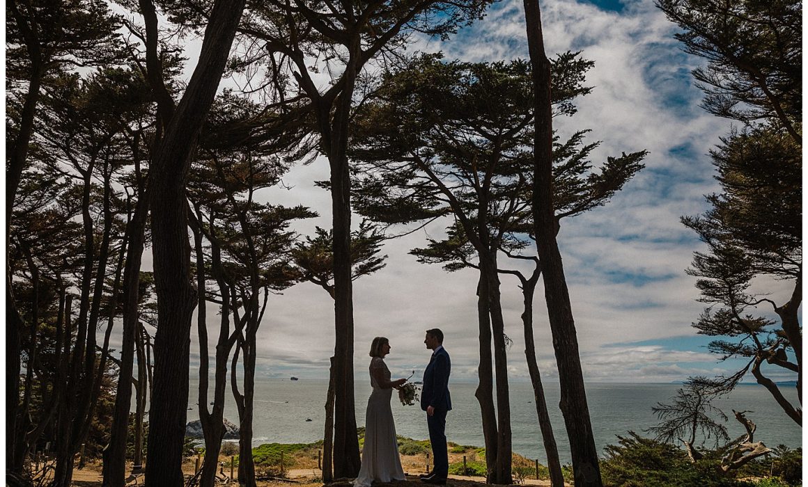 Bay Area Wedding Photographer Year in Review
