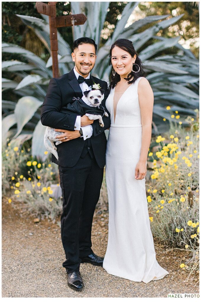 Bridge and groom in tuxedo posing with small black and white dog, documentary style photo, botanical garden wedding