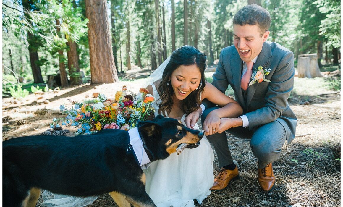 documentary style photo of bride and groom posing with dog at wedding, candid action shot