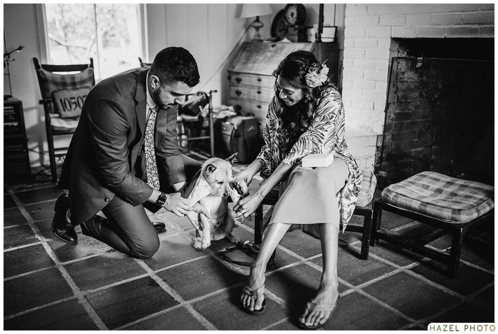 bay area Indian wedding, cultural wedding, dog at wedding, dress up dog at wedding, bay area documentary photographer, bride and groom with dog candid photo