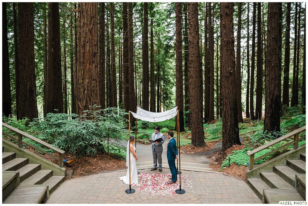 uc berkeley botanical garden mather redwood grove, bay area wedding venue, bay area documentary wedding photographer
