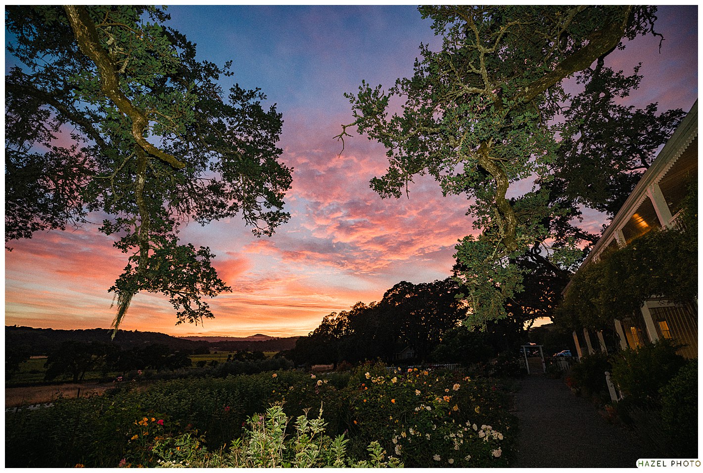 Beltane Ranch, Sonoma Garden wedding, documentary wedding photography, golden hour sunset. 