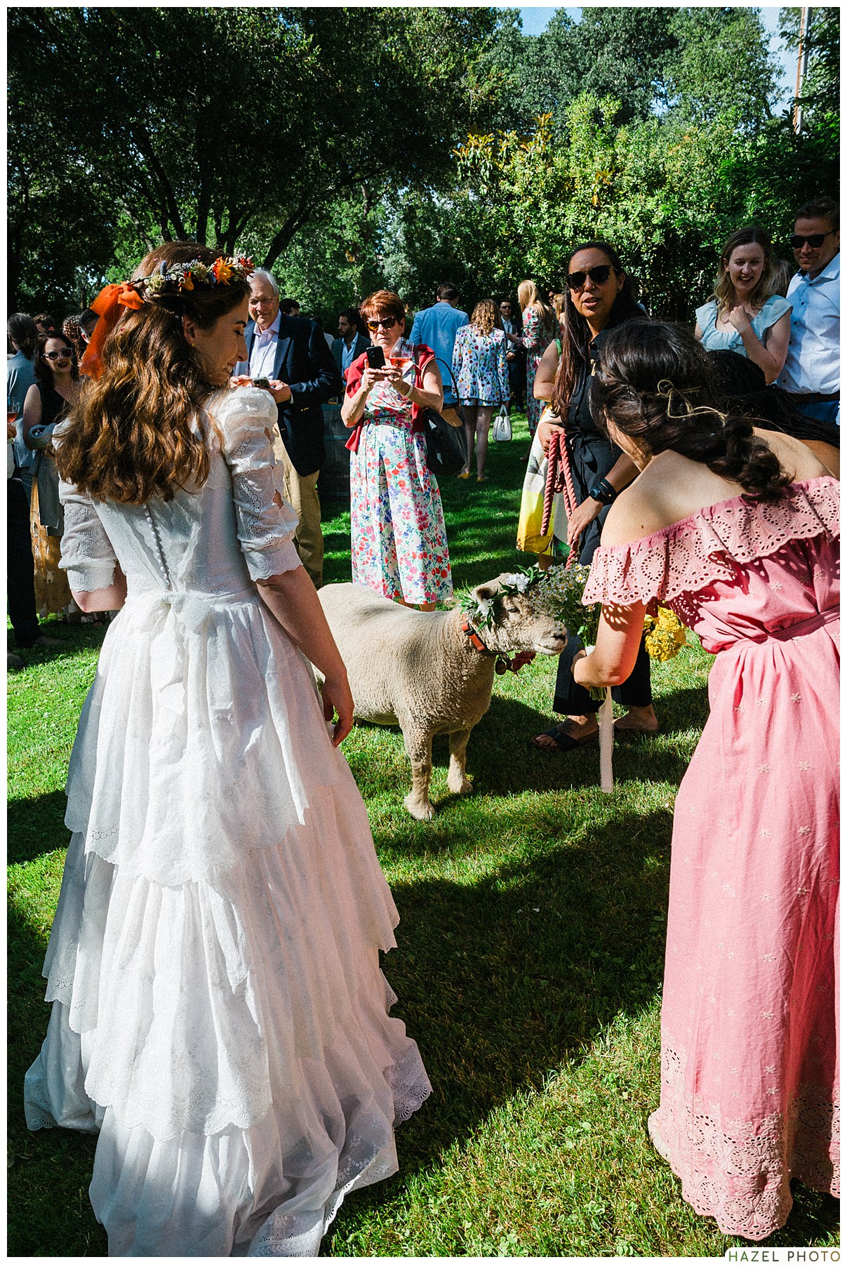 Beltane Ranch, Sonoma Garden wedding, documentary wedding photography, cocktail hour, wally the sheep