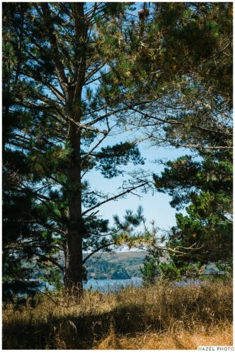 marconi lodge landscape