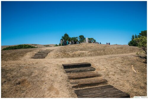 marconi lodge landscape