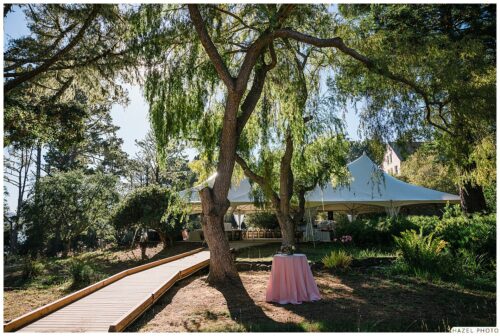 landscape surrounding the lodge at marconi reception tent