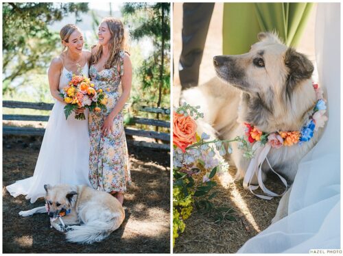 dog at wedding with flowers