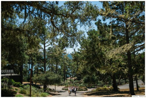 scenic landscape at the lodge at marconi