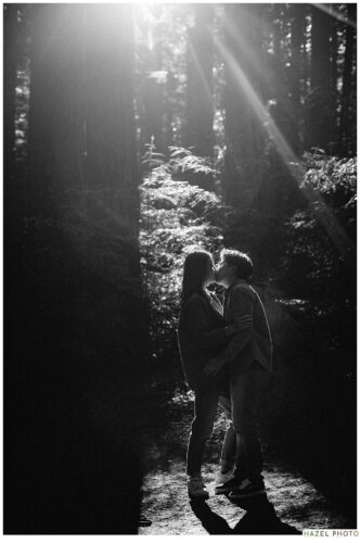 lgbtq documentary redwood tree engagement