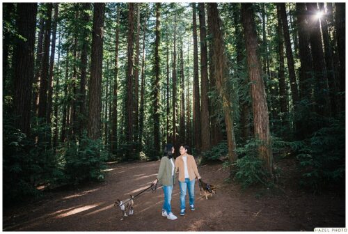 joaquin miller park engagement session with dogs